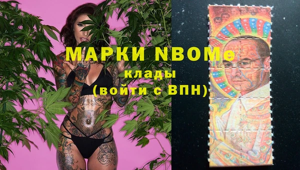 apvp Новодвинск