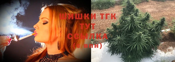 крисы Нея
