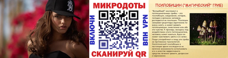 Псилоцибиновые грибы Psilocybe Островной